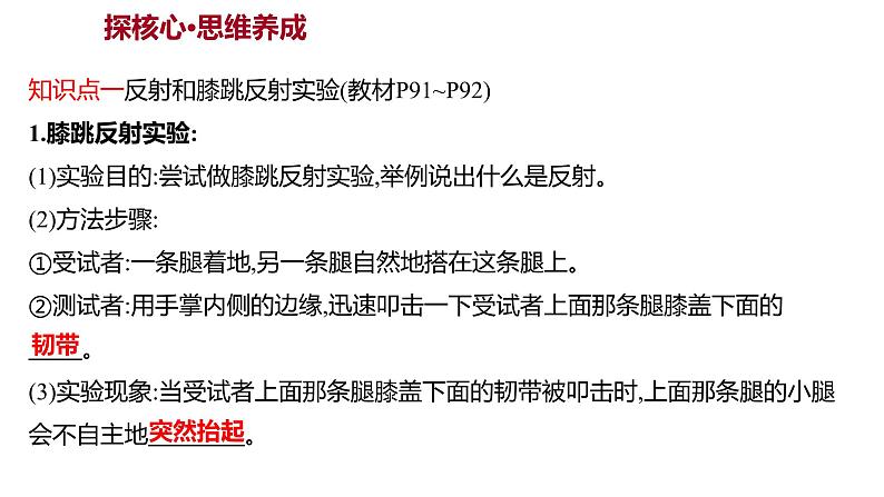 第六章　第三节　神经调节的基本方式 课件 2022-2023 人教版生物 七年级下册第3页