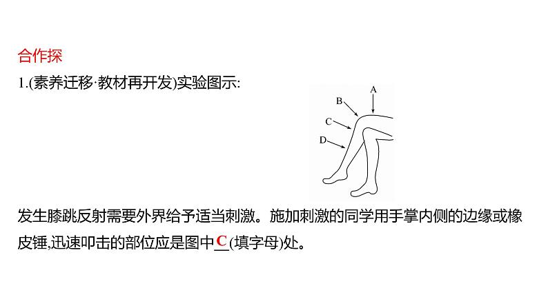 第六章　第三节　神经调节的基本方式 课件 2022-2023 人教版生物 七年级下册第5页