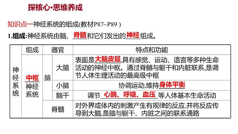 第六章　第二节　神经系统的组成 课件 2022-2023 人教版生物 七年级下册02