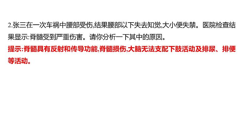 第六章　第二节　神经系统的组成 课件 2022-2023 人教版生物 七年级下册06