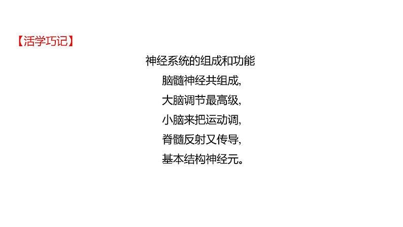 第六章　第二节　神经系统的组成 课件 2022-2023 人教版生物 七年级下册07