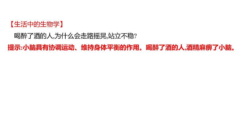 第六章　第二节　神经系统的组成 课件 2022-2023 人教版生物 七年级下册08