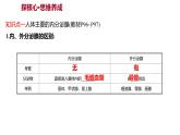 第六章　第四节　激 素 调 节 课件 2022-2023 人教版生物 七年级下册