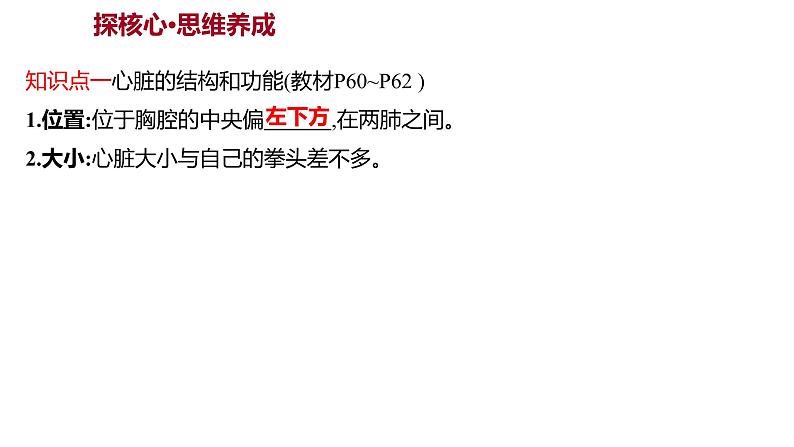 第四章　第三节　输送血液的泵——心脏 课件 2022-2023 人教版生物 七年级下册03