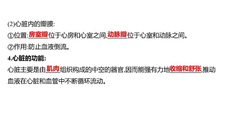 第四章　第三节　输送血液的泵——心脏 课件 2022-2023 人教版生物 七年级下册05