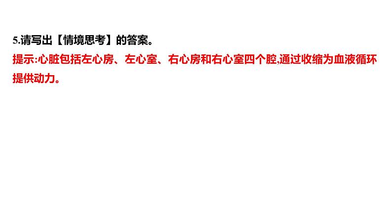 第四章　第三节　输送血液的泵——心脏 课件 2022-2023 人教版生物 七年级下册06