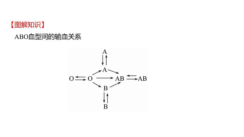 第四章　第四节　输血与血型 课件 2022-2023 人教版生物 七年级下册第8页