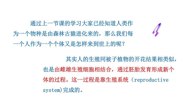 4.1.2 人的生殖新  多媒体课件 2022-2023 人教版生物 七年级下册第2页