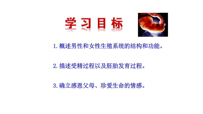 4.1.2 人的生殖新  多媒体课件 2022-2023 人教版生物 七年级下册第3页