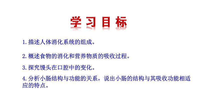 4.2.2 消化和吸收新  多媒体课件 2022-2023 人教版生物 七年级下册第4页