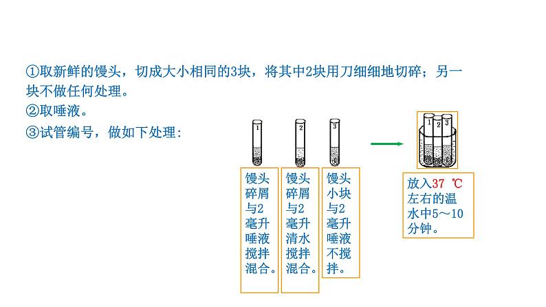 4.2.2 消化和吸收新  多媒体课件 2022-2023 人教版生物 七年级下册第8页