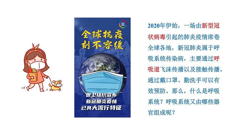 4.3.1 呼吸道对空气的处理新  多媒体课件 2022-2023 人教版生物 七年级下册第2页