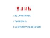 4.3.1 呼吸道对空气的处理新  多媒体课件 2022-2023 人教版生物 七年级下册