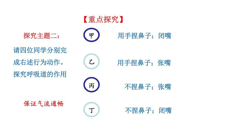 4.3.1 呼吸道对空气的处理新  多媒体课件 2022-2023 人教版生物 七年级下册第5页