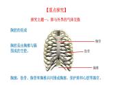 4.3.2 发生在肺内的气体交换新  多媒体课件 2022-2023 人教版生物 七年级下册