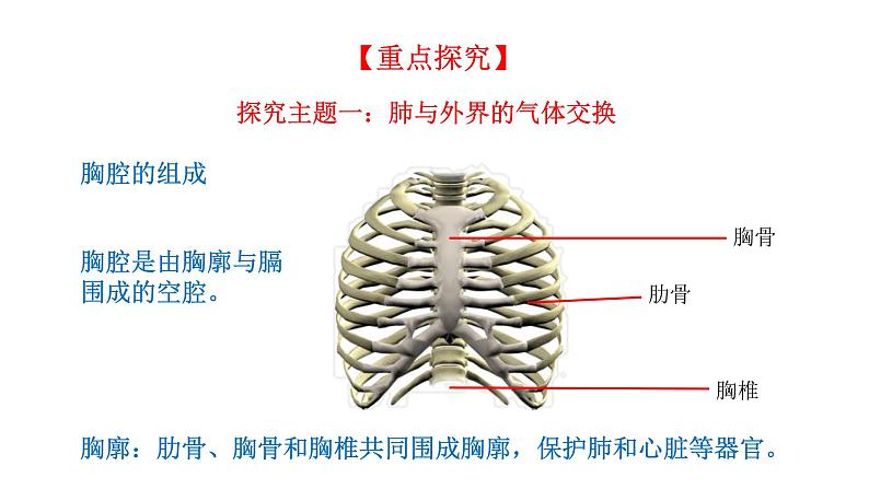 4.3.2 发生在肺内的气体交换新  多媒体课件 2022-2023 人教版生物 七年级下册第4页