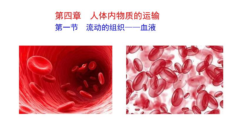 4.4.1 流动的组织——血液新  多媒体课件 2022-2023 人教版生物 七年级下册01