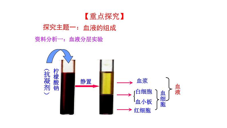 4.4.1 流动的组织——血液新  多媒体课件 2022-2023 人教版生物 七年级下册04