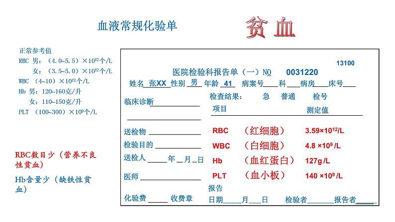 4.4.1 流动的组织——血液新  多媒体课件 2022-2023 人教版生物 七年级下册07