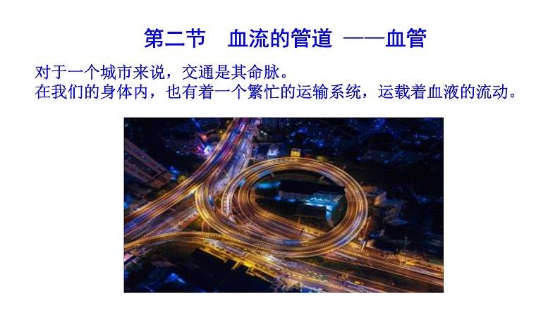 4.4.2 血流的管道——血管新  多媒体课件 2022-2023 人教版生物 七年级下册01
