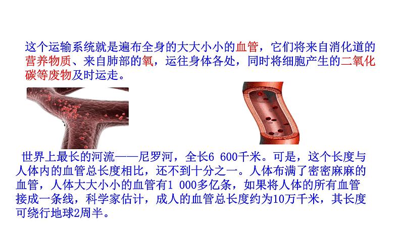 4.4.2 血流的管道——血管新  多媒体课件 2022-2023 人教版生物 七年级下册02