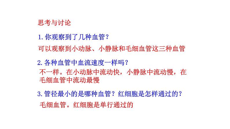 4.4.2 血流的管道——血管新  多媒体课件 2022-2023 人教版生物 七年级下册08