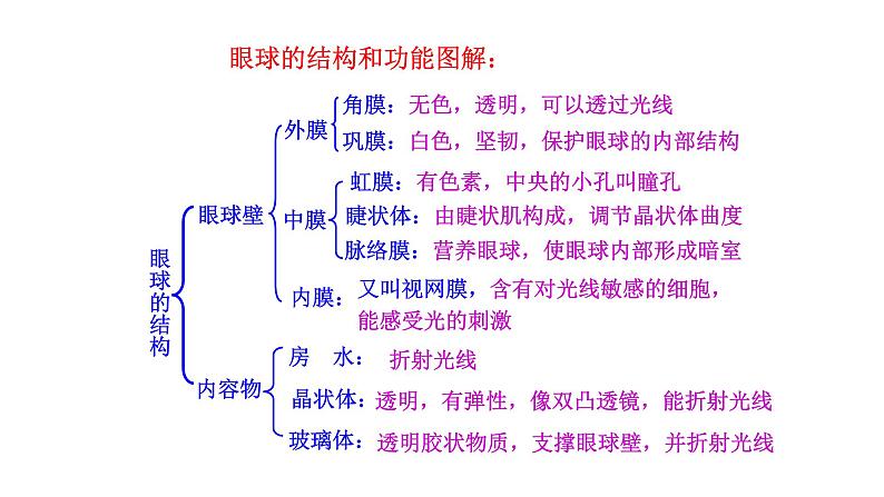 4.6.1 人体对外界环境的感知新  多媒体课件 2022-2023 人教版生物 七年级下册第5页