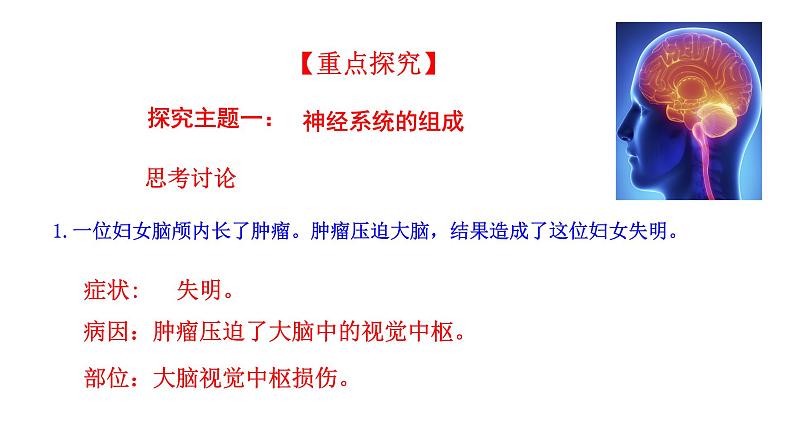 4.6.2 神经系统的组成  多媒体课件 2022-2023 人教版生物 七年级下册第4页