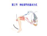 4.6.3 神经调节的基本方式新  多媒体课件 2022-2023 人教版生物 七年级下册