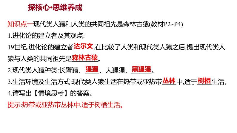 第四单元  第一章　人 的 由 来  第一节　人类的起源和发展 课件 2022-2023 人教版生物 七年级下册第3页