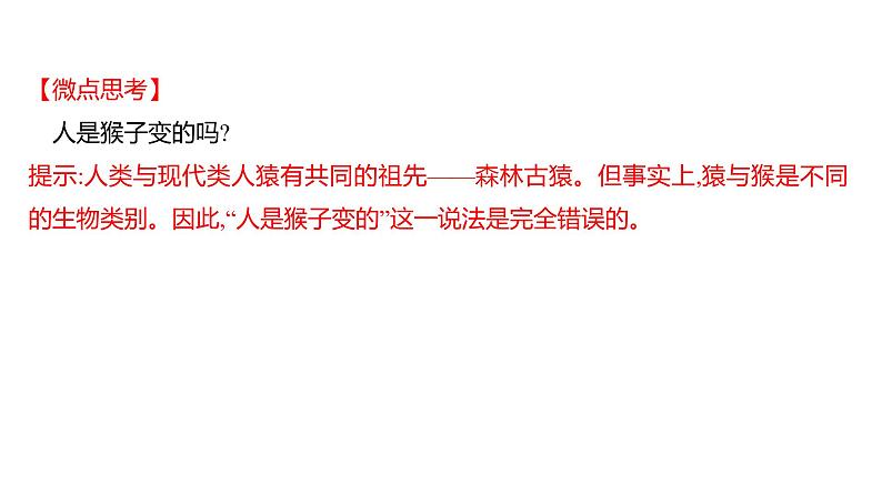 第四单元  第一章　人 的 由 来  第一节　人类的起源和发展 课件 2022-2023 人教版生物 七年级下册第4页