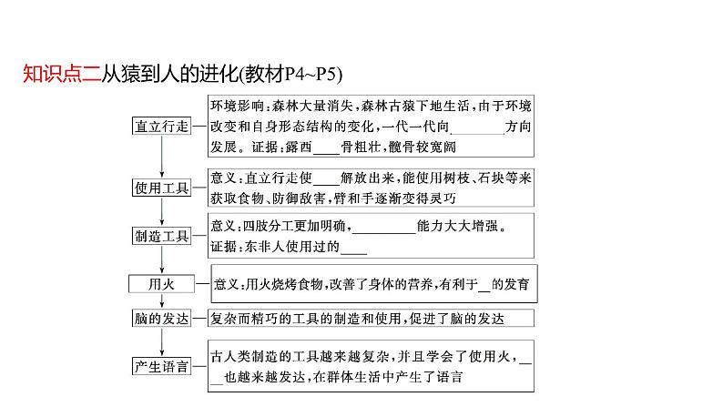 第四单元  第一章　人 的 由 来  第一节　人类的起源和发展 课件 2022-2023 人教版生物 七年级下册第5页