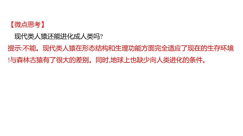 第四单元  第一章　人 的 由 来  第一节　人类的起源和发展 课件 2022-2023 人教版生物 七年级下册第7页