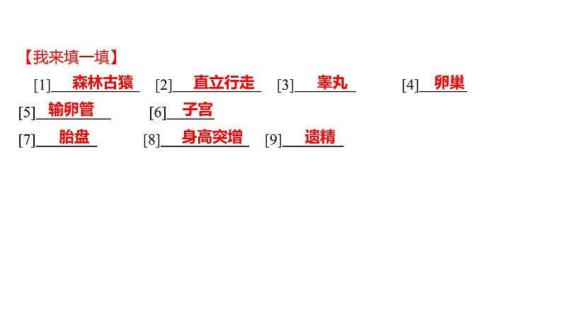 单元复习课  第四单元  第一章 课件 2022-2023 人教版生物 七年级下册第3页