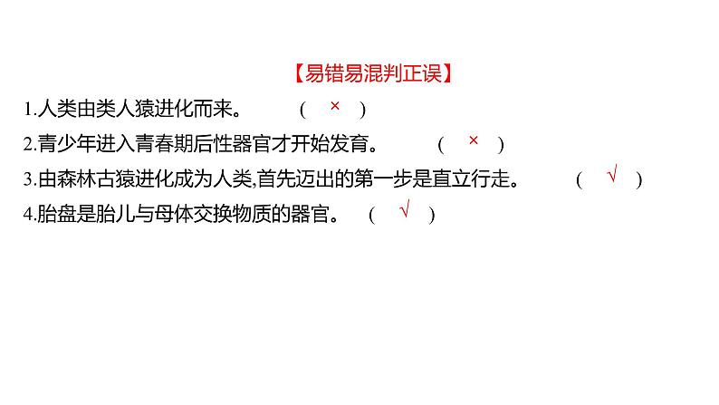 单元复习课  第四单元  第一章 课件 2022-2023 人教版生物 七年级下册第6页