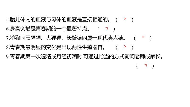 单元复习课  第四单元  第一章 课件 2022-2023 人教版生物 七年级下册第7页