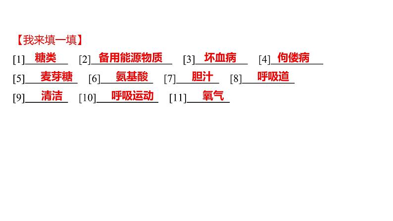 单元复习课  第四单元  第二章&第三章 课件 2022-2023 人教版生物 七年级下册03