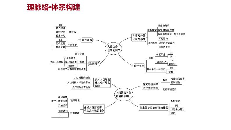 单元复习课  第四单元  第六章&第七章 课件 2022-2023 人教版生物 七年级下册第2页