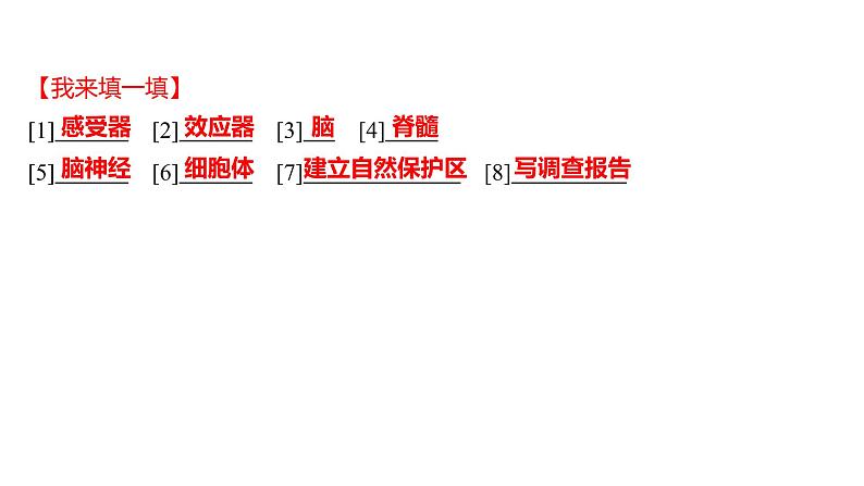 单元复习课  第四单元  第六章&第七章 课件 2022-2023 人教版生物 七年级下册第3页