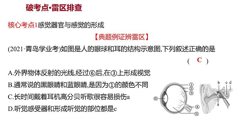 单元复习课  第四单元  第六章&第七章 课件 2022-2023 人教版生物 七年级下册第4页