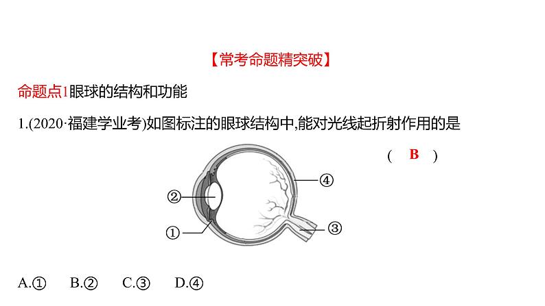 单元复习课  第四单元  第六章&第七章 课件 2022-2023 人教版生物 七年级下册第7页