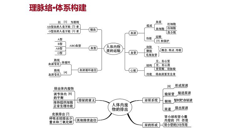 单元复习课  第四单元  第四章&第五章 课件 2022-2023 人教版生物 七年级下册第2页