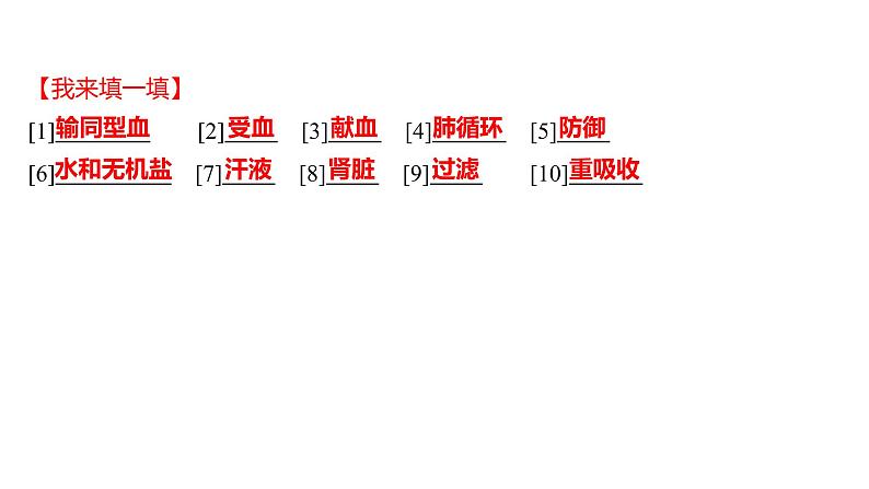 单元复习课  第四单元  第四章&第五章 课件 2022-2023 人教版生物 七年级下册第3页