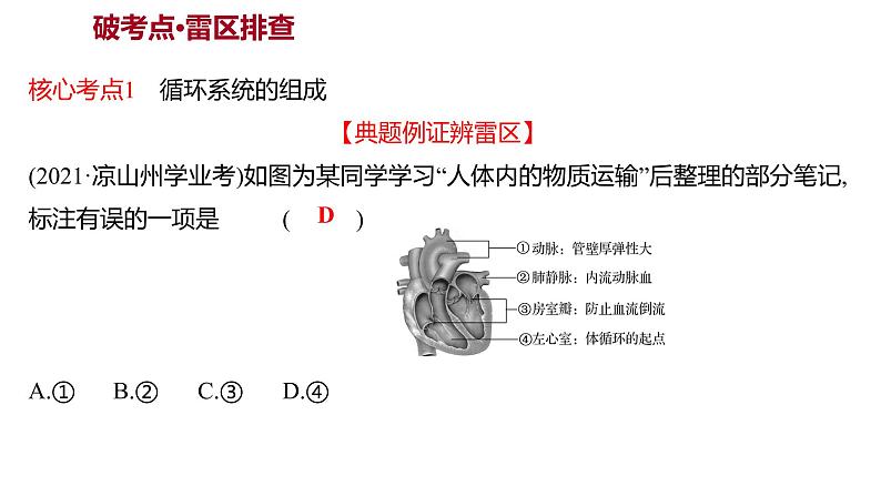 单元复习课  第四单元  第四章&第五章 课件 2022-2023 人教版生物 七年级下册第4页