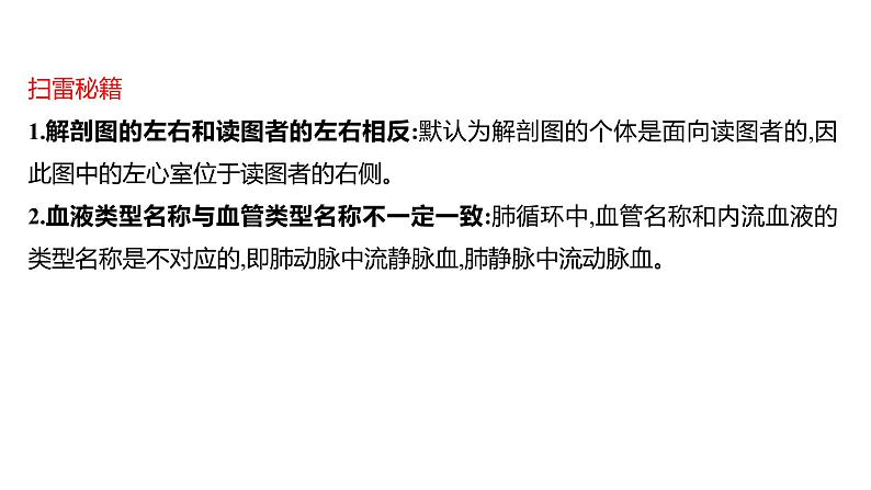 单元复习课  第四单元  第四章&第五章 课件 2022-2023 人教版生物 七年级下册第5页