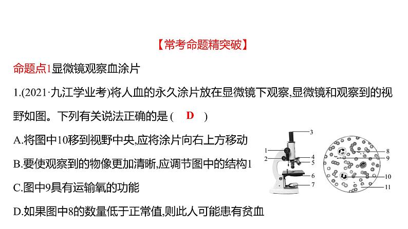 单元复习课  第四单元  第四章&第五章 课件 2022-2023 人教版生物 七年级下册第8页