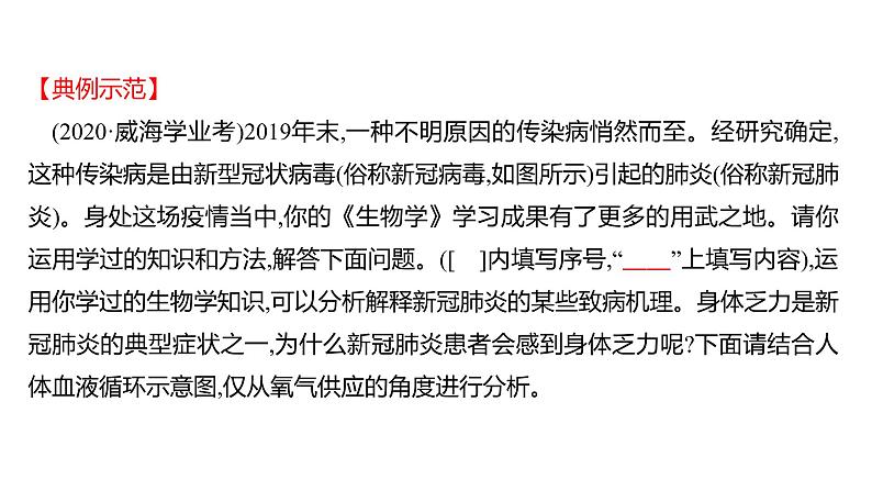 热考题型三　材 料 分 析 课件 2022-2023 人教版生物 七年级下册03