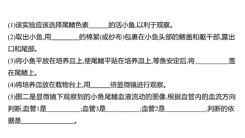 热考题型二　实 验 探 究 课件 2022-2023 人教版生物 七年级下册03