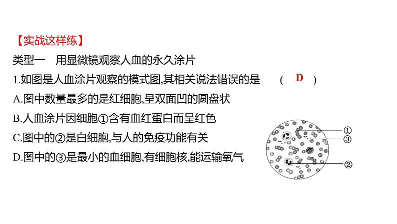 热考题型二　实 验 探 究 课件 2022-2023 人教版生物 七年级下册05