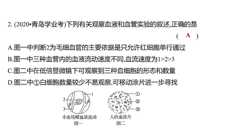 热考题型二　实 验 探 究 课件 2022-2023 人教版生物 七年级下册06